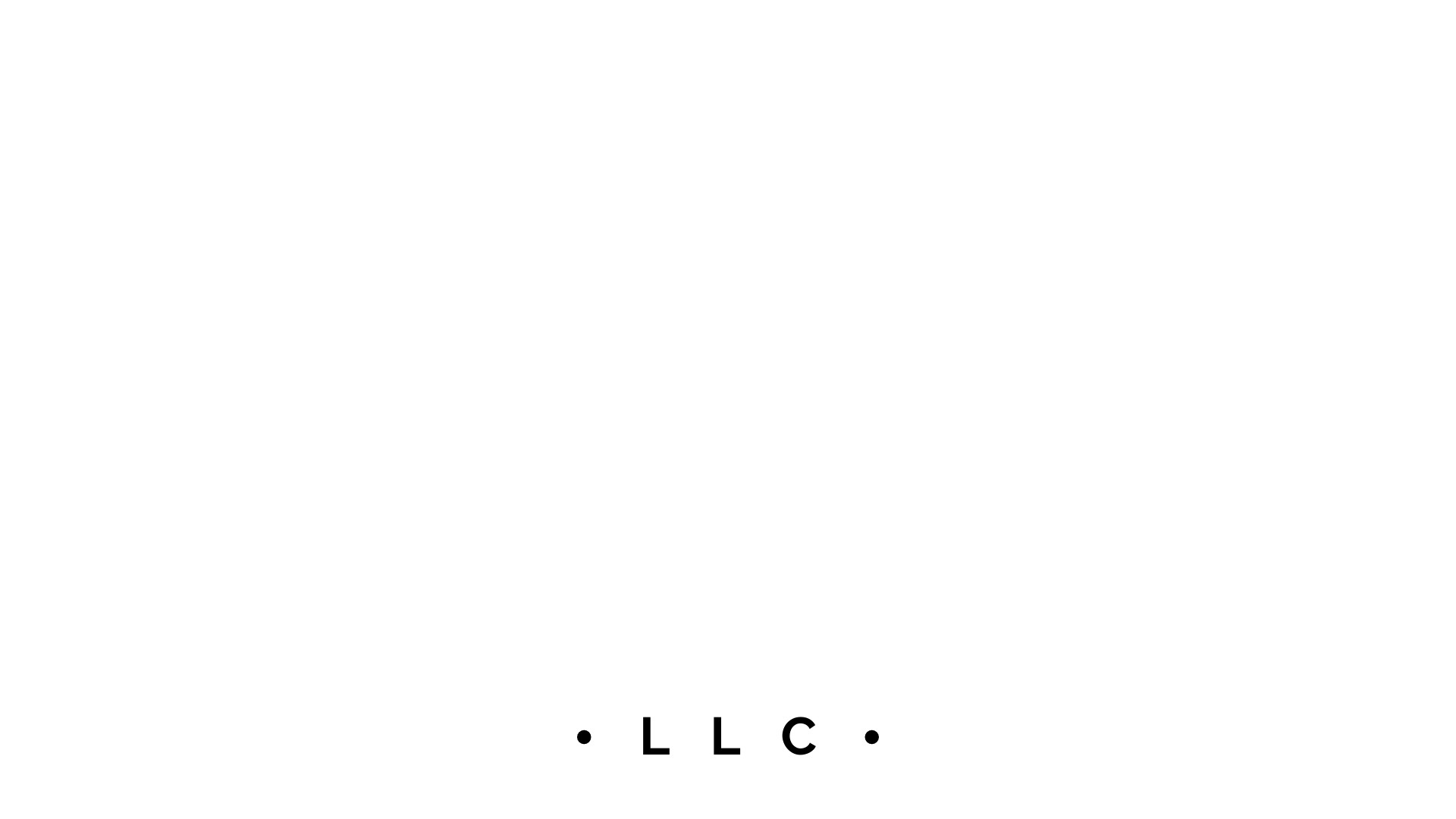 DIM INVEST